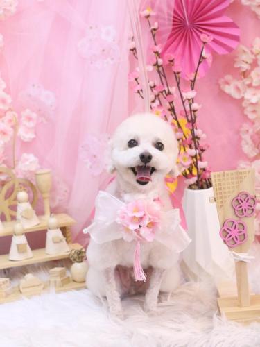 20250309ふぁるくん